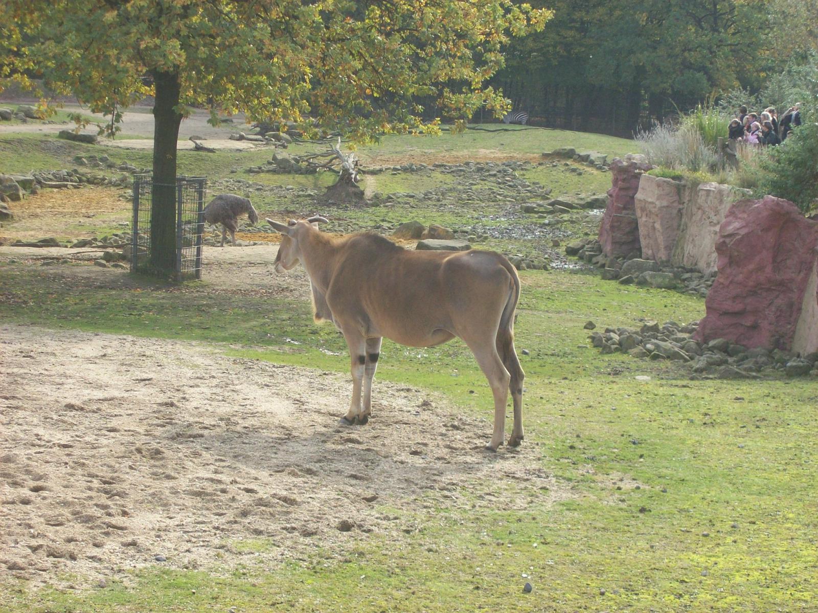 Zoom 18.10.2008-100.jpg